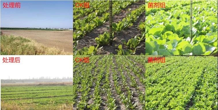 泰国东南亚3D彩票